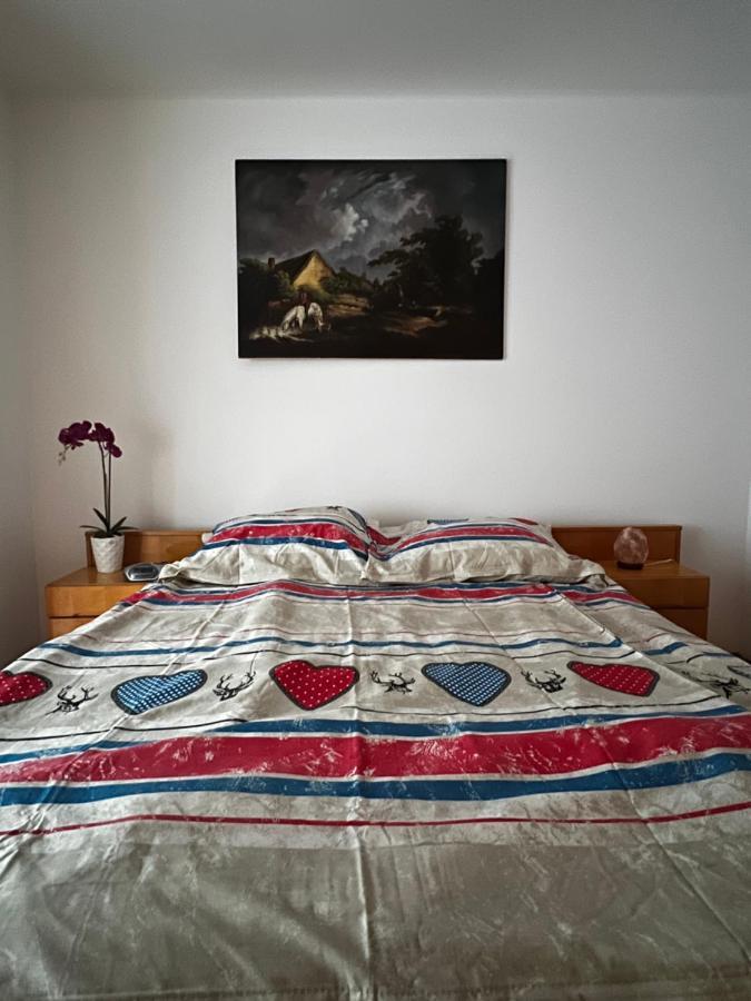 Noreea Central Apartment Тимишоара Экстерьер фото
