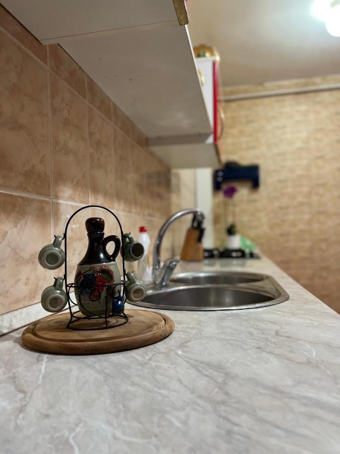 Noreea Central Apartment Тимишоара Экстерьер фото