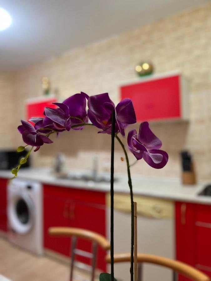 Noreea Central Apartment Тимишоара Экстерьер фото